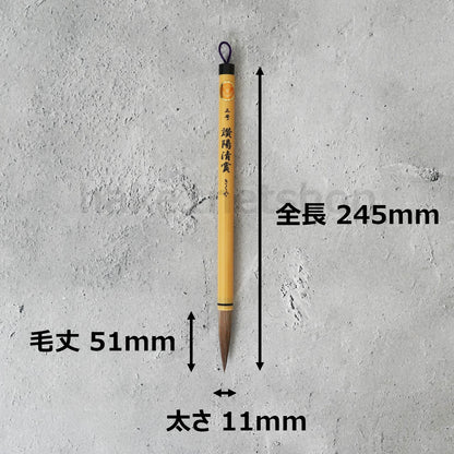 きくや筆本舗 10-101 讃陽清賞 (太さ 11mm×毛丈51mm) かため 半紙2-4字 1本