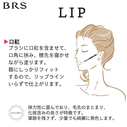 BRS リップブラシ | USUI BRUSH ブルーシュ